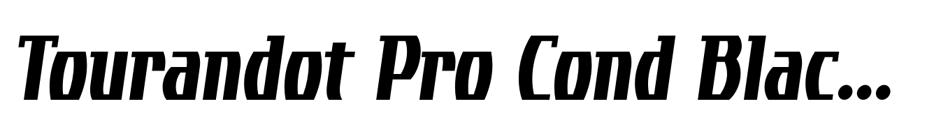 Tourandot Pro Cond Black Italic